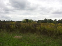 20140901_165834