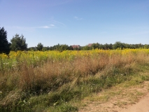 20150814_103421